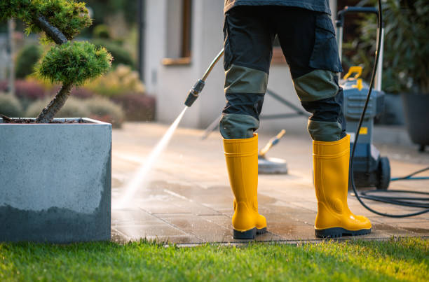 Best House Pressure Washing  in East Renton Highlands, WA